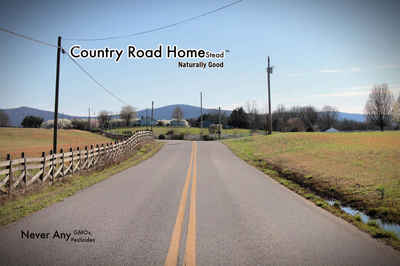 Country_road_homestead