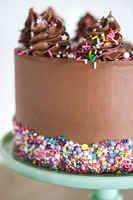 Chocolate-cake-with-sprinkles