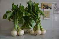 Turnips